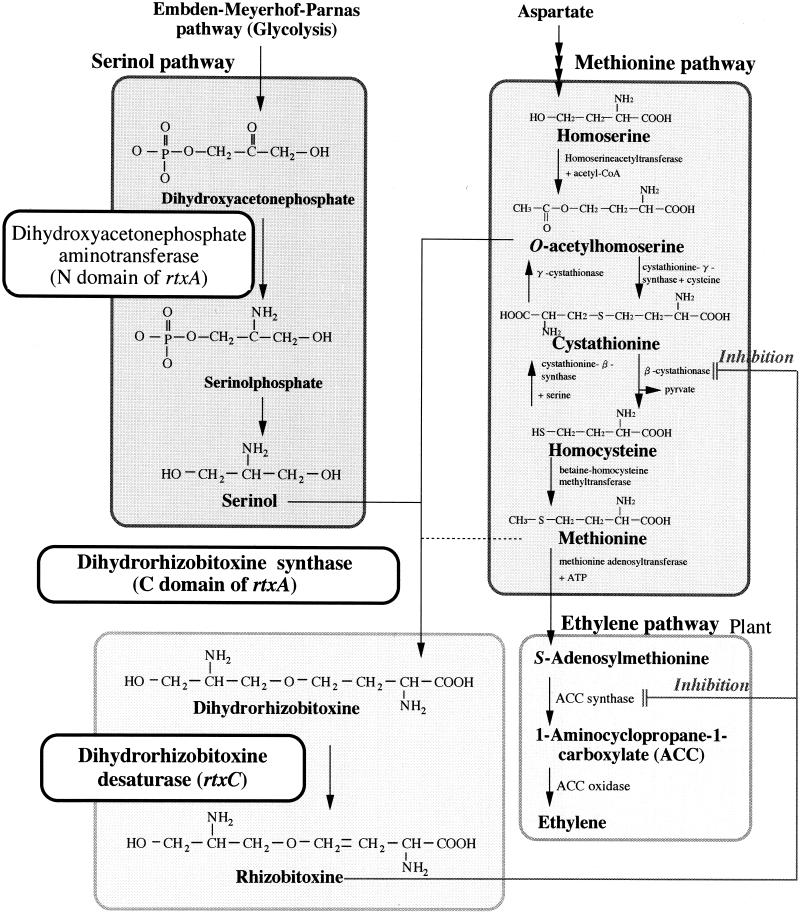 FIG. 7