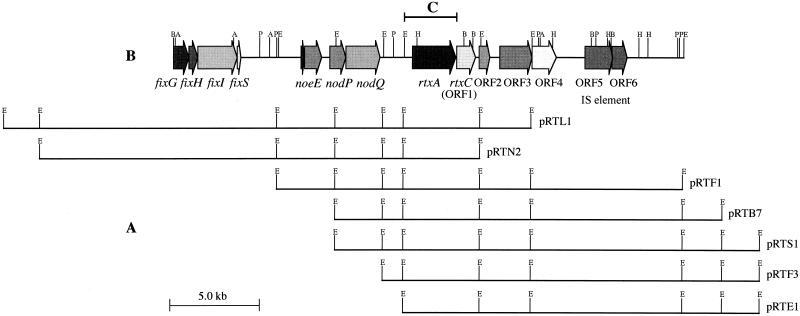 FIG. 1