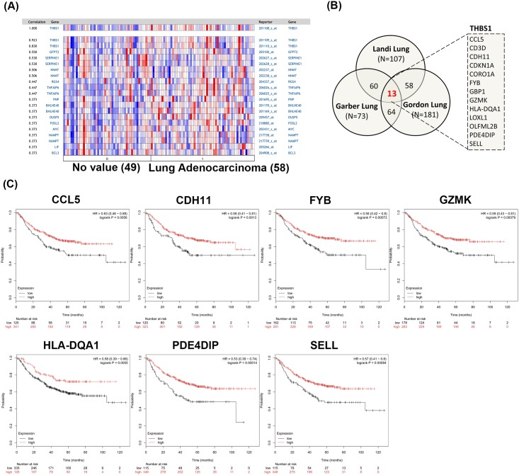 Differential Expression Pattern of THBS1 and THBS2 in Lung Cancer ...