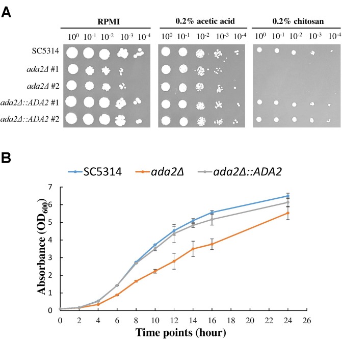 FIGURE 2