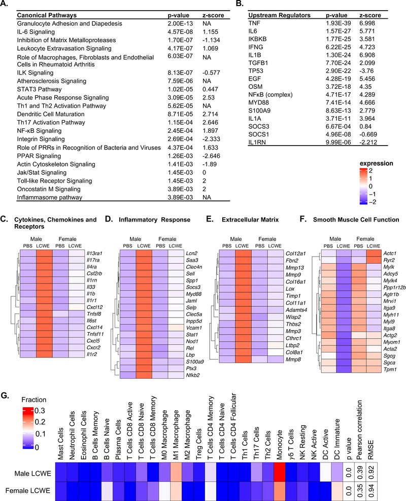 Figure 4: