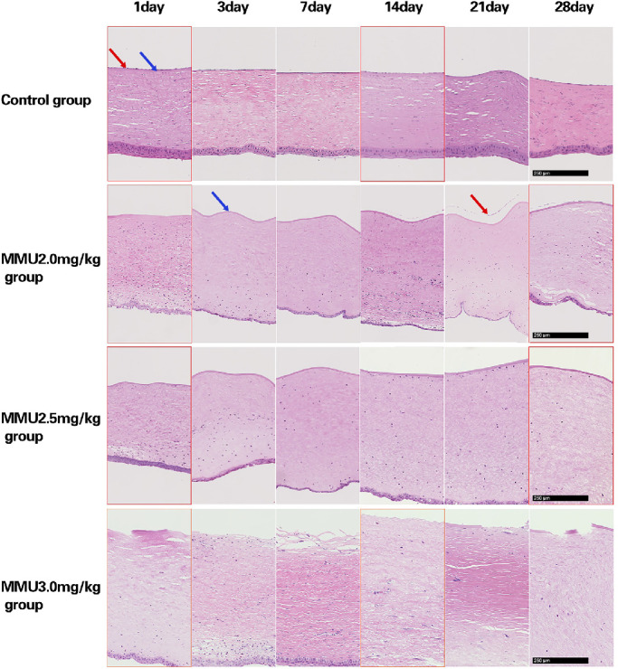 Figure 10.