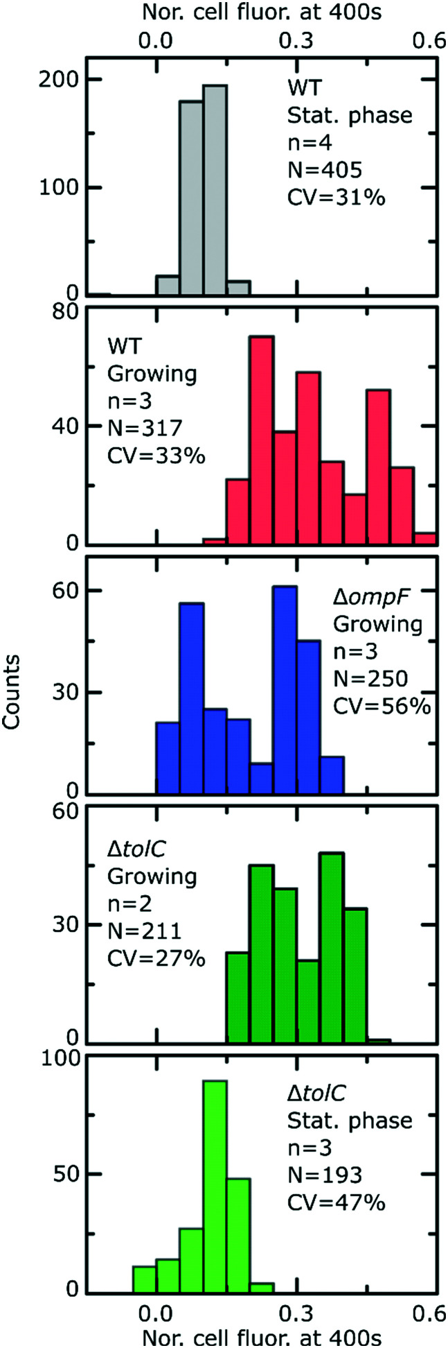 Fig. 3