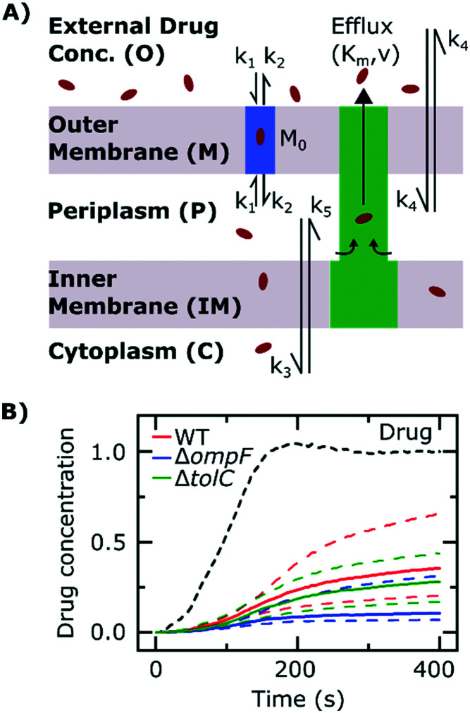 Fig. 4