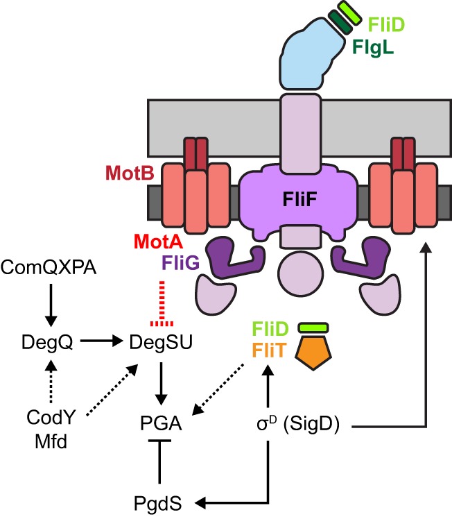 FIG 5