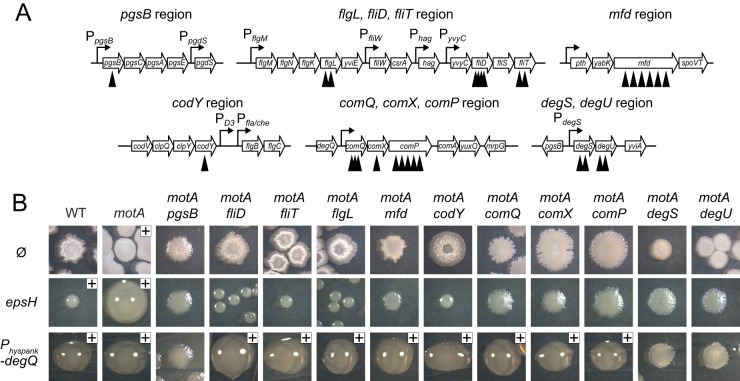 FIG 3