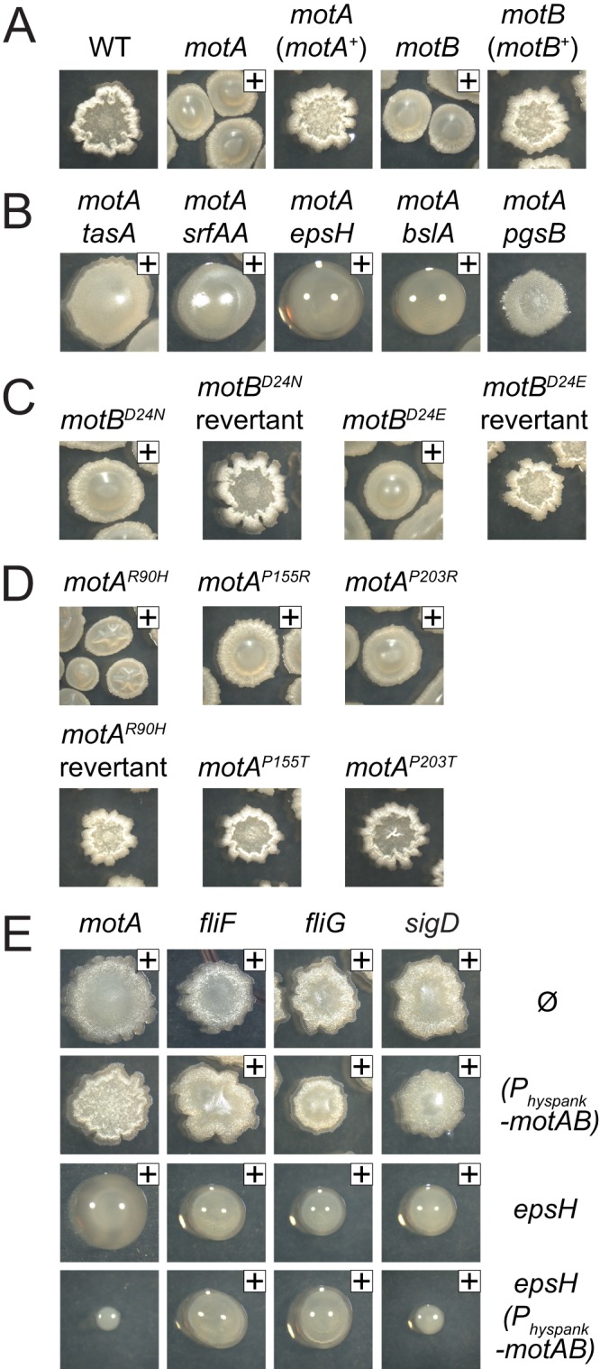 FIG 2