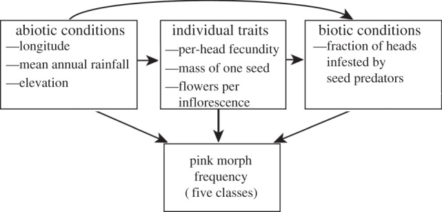 Figure 2.