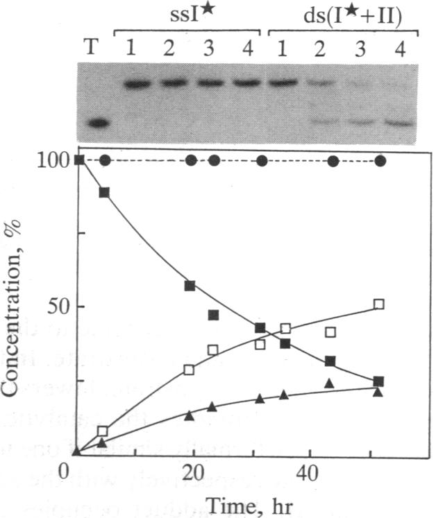 graphic file with name pnas01059-0017-a.jpg