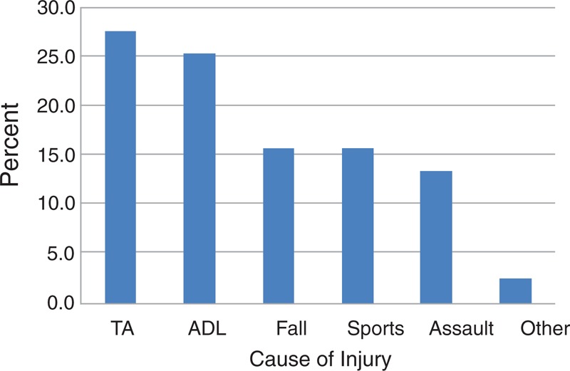 FIGURE 1