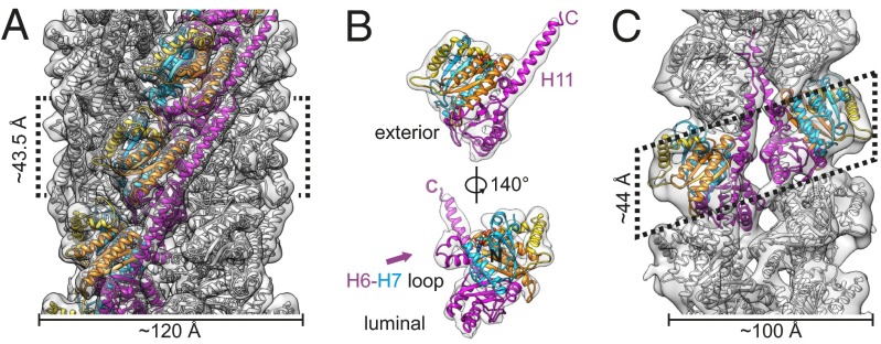 Fig. 2.