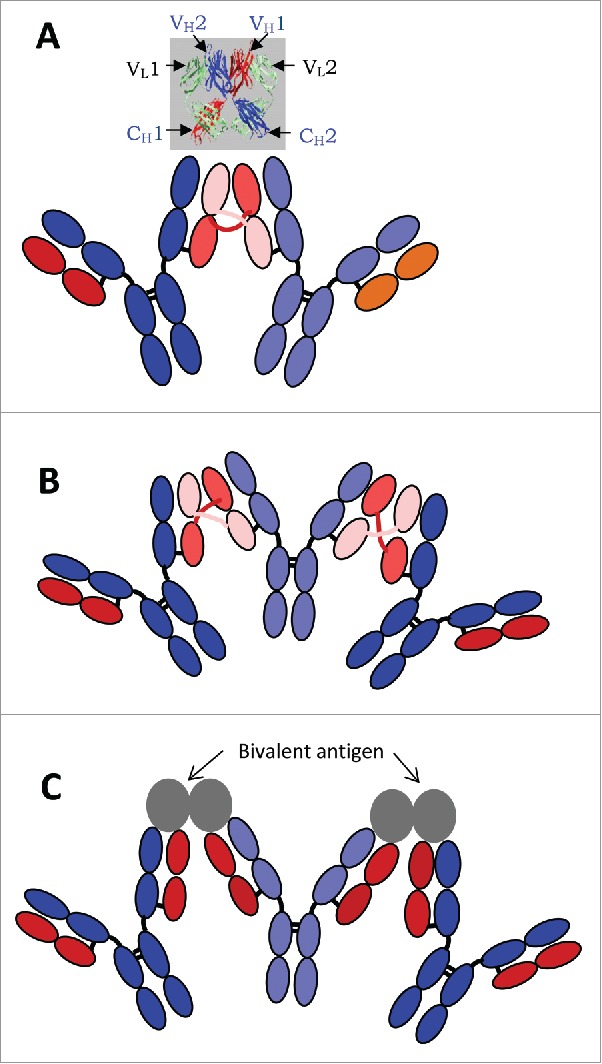 Figure 7.