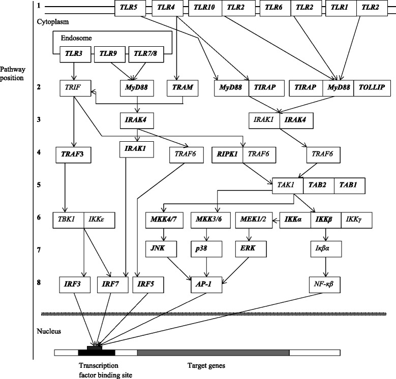 Fig. 1