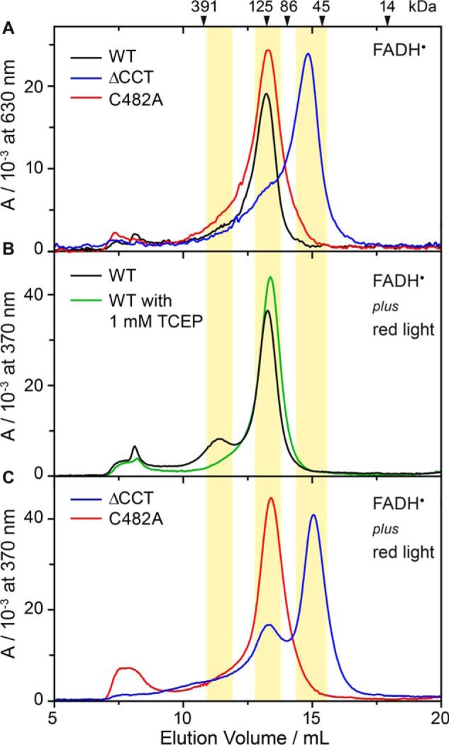 FIGURE 5.