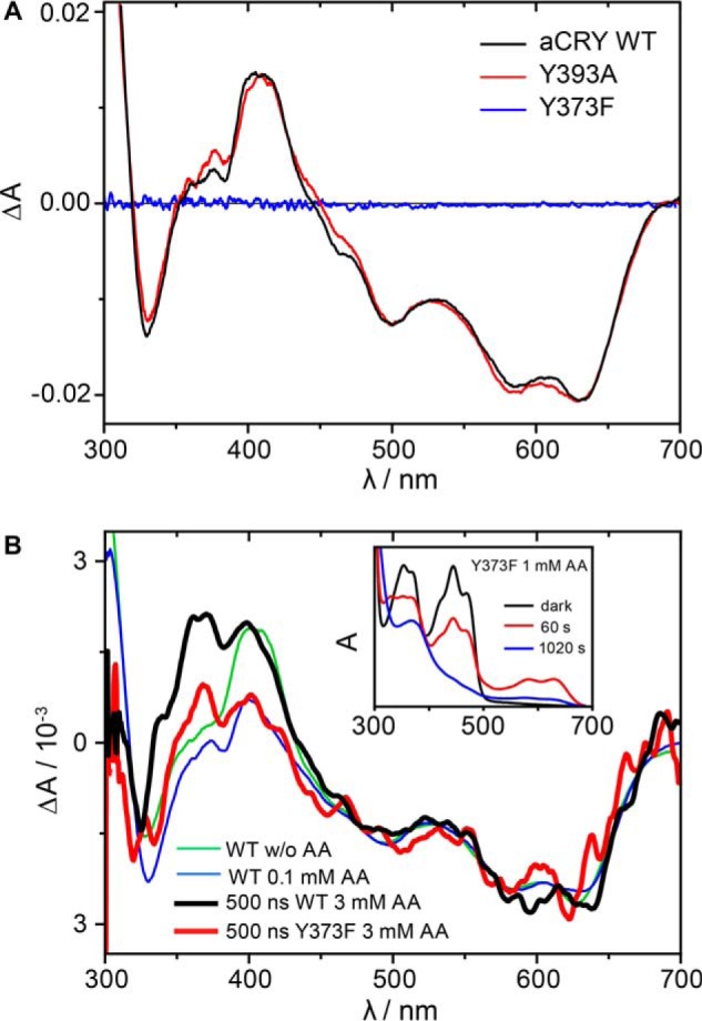 FIGURE 4.