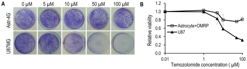 Fig. 5