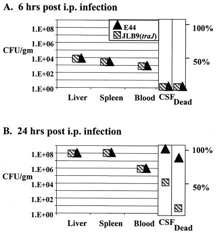 FIG. 2.