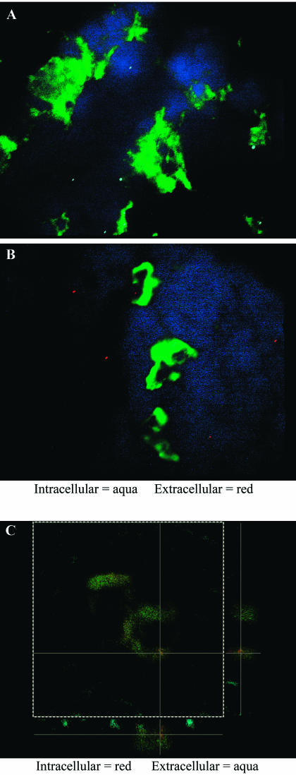 FIG. 6.