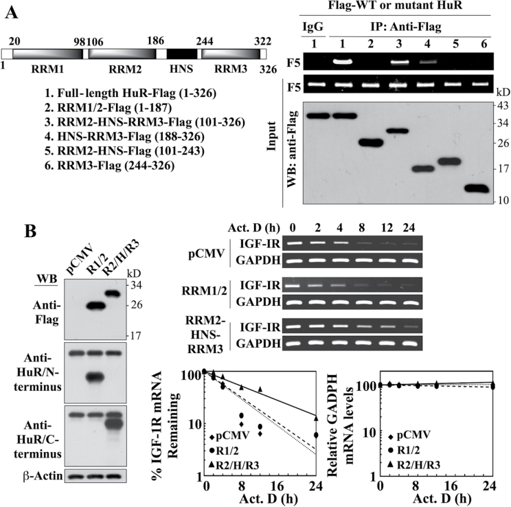 Fig. 8.