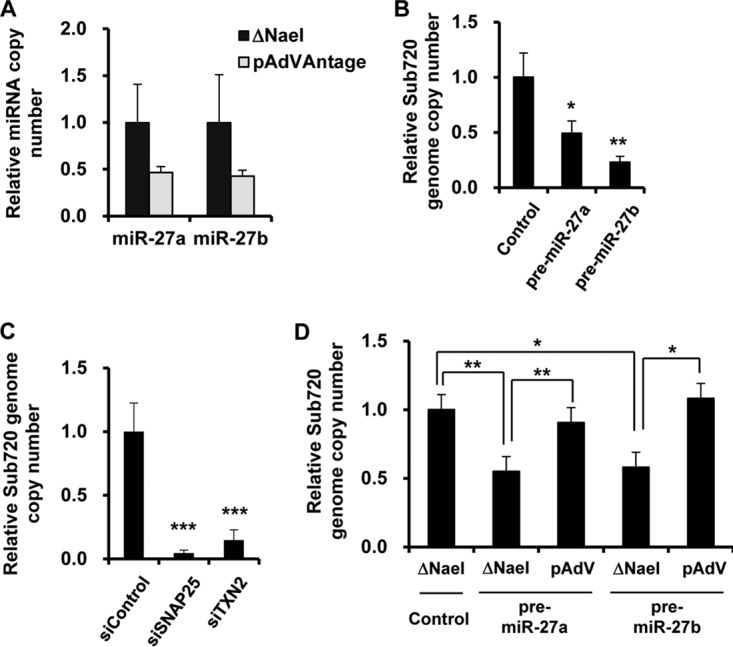 FIG 6