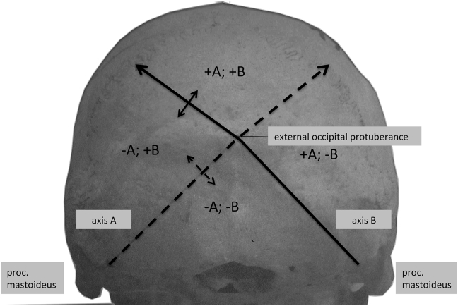 Fig. 1