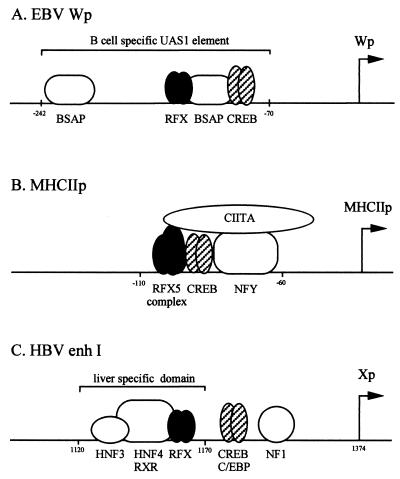 FIG. 7