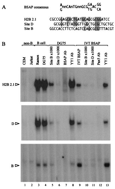 FIG. 5