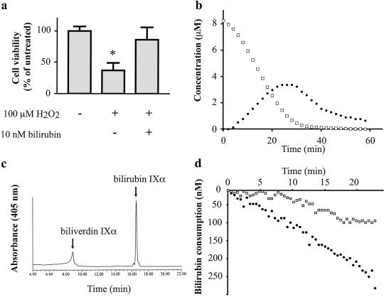 Fig 1.