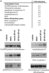 Fig 3.