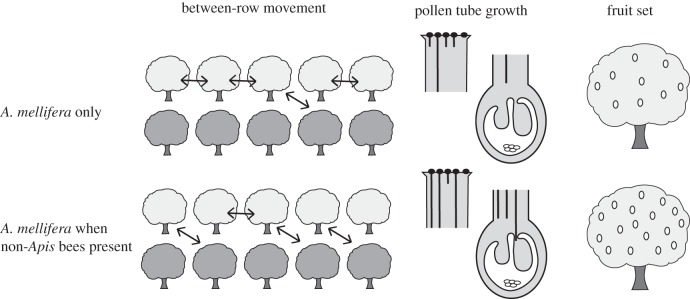 Figure 1.