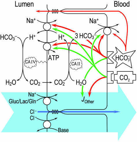 Fig. 3.