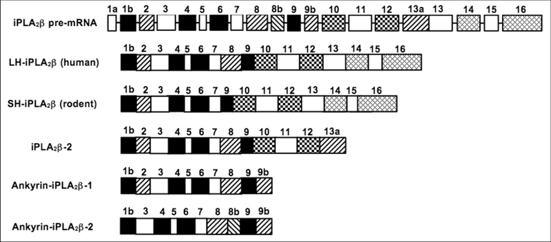 Figure 2.