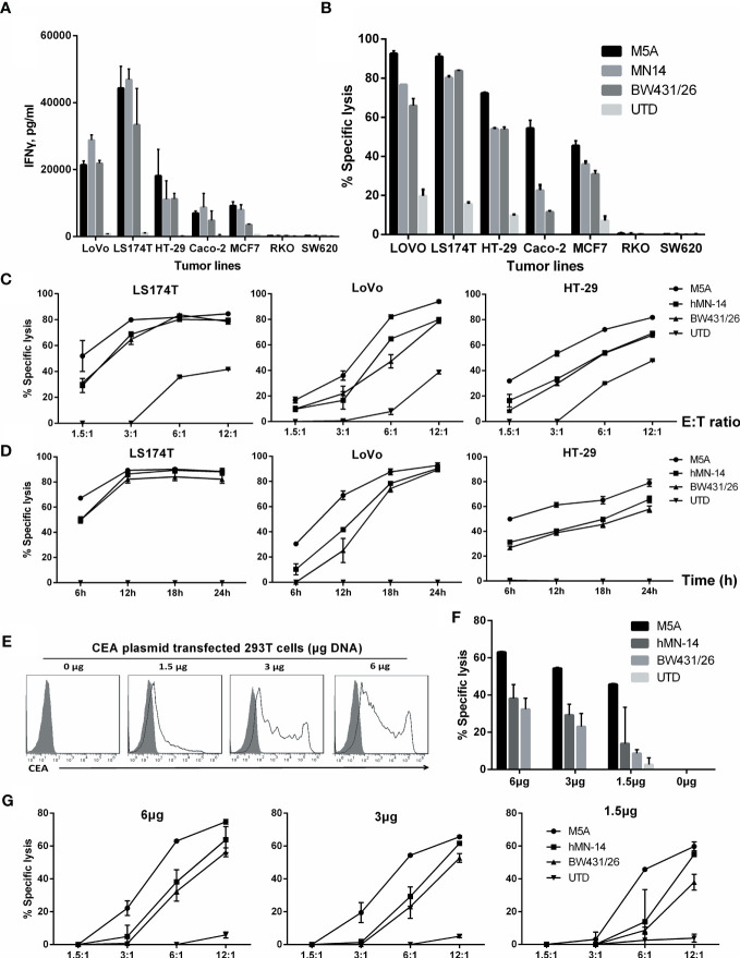 Figure 6