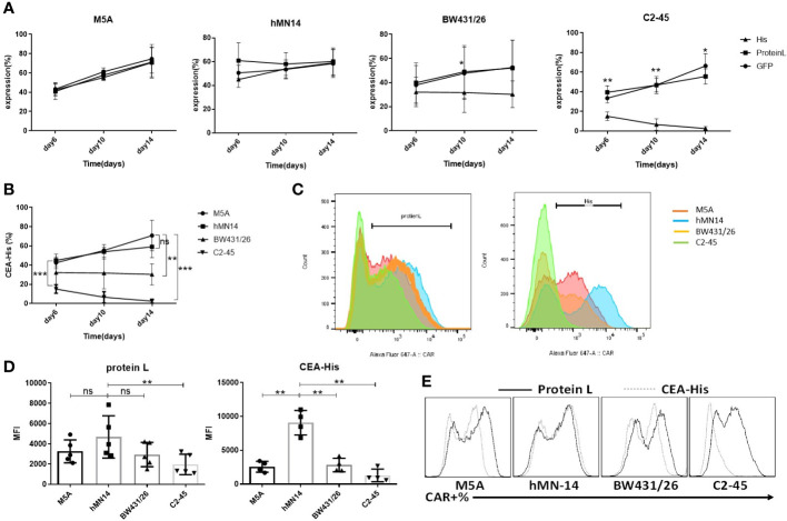 Figure 3