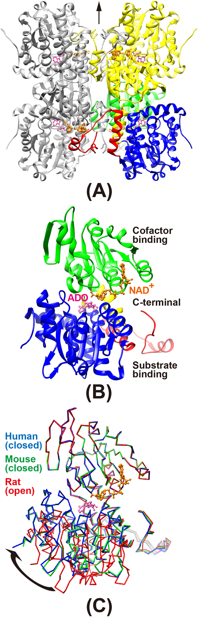 Figure 4