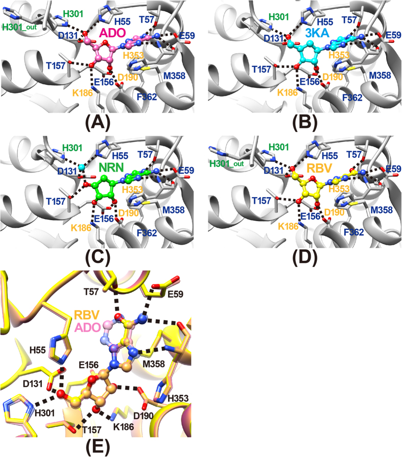 Figure 5