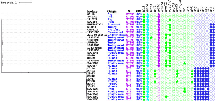 FIG 2