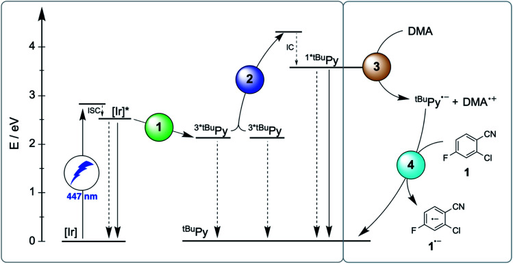 Fig. 6