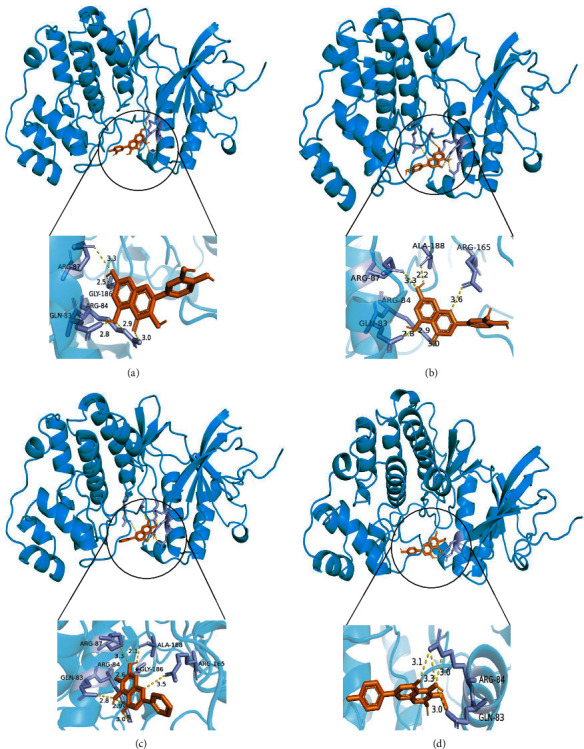 Figure 7