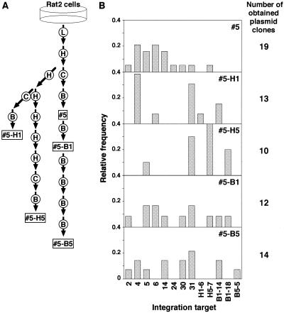 FIG. 2.