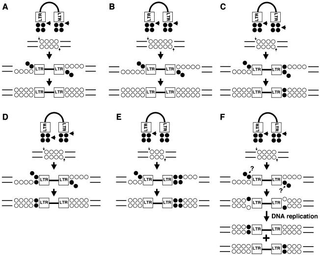 FIG. 7.