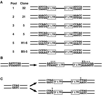 FIG. 4.