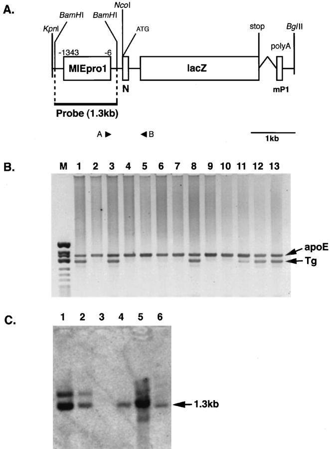 Figure 1.