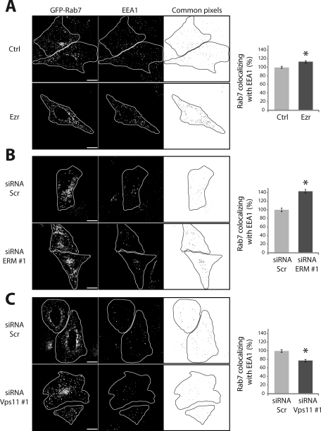 FIGURE 7: