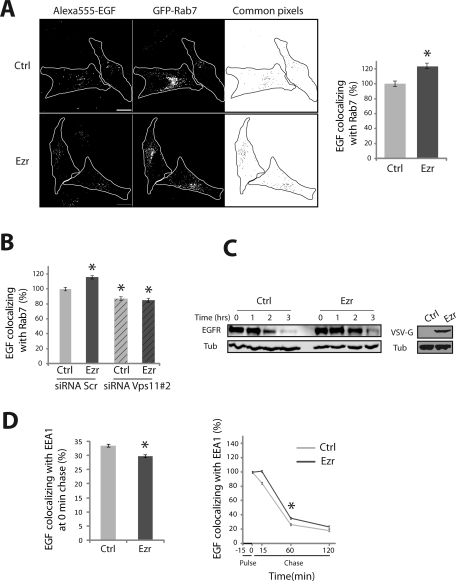 FIGURE 6: