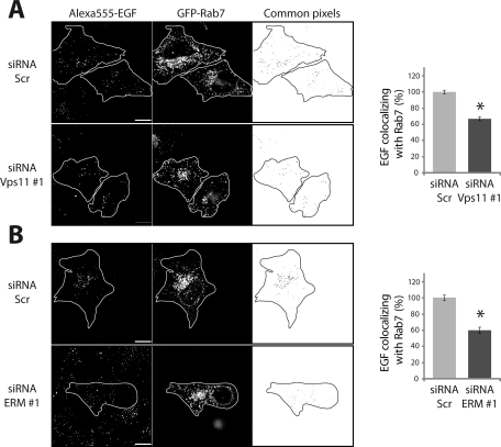 FIGURE 5: