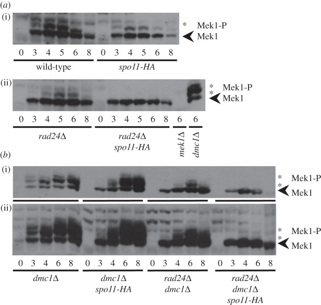 Figure 5.