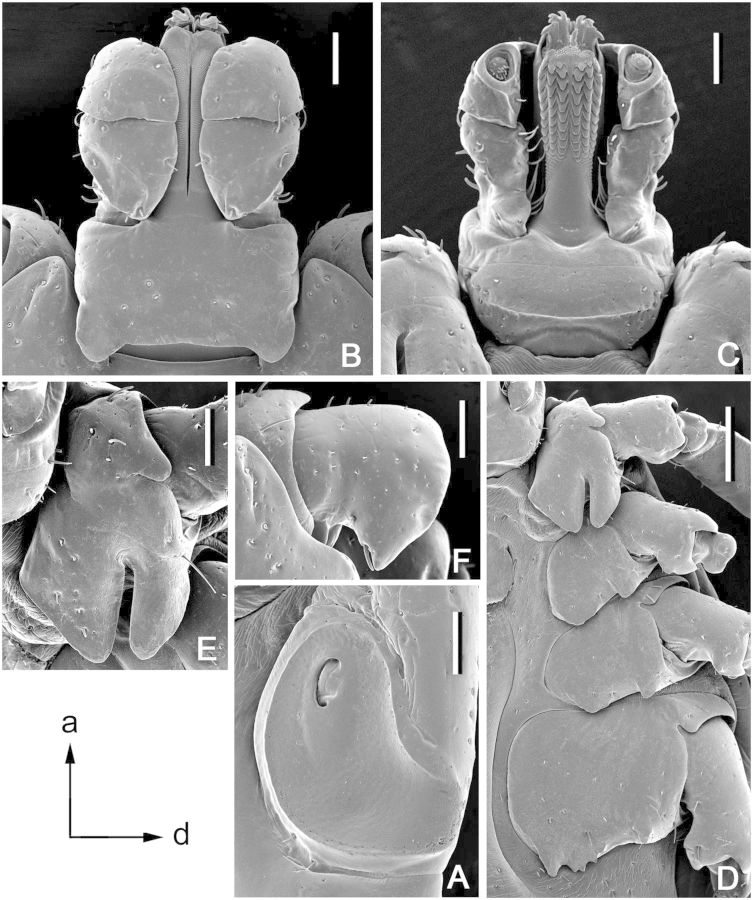 Fig. 9.