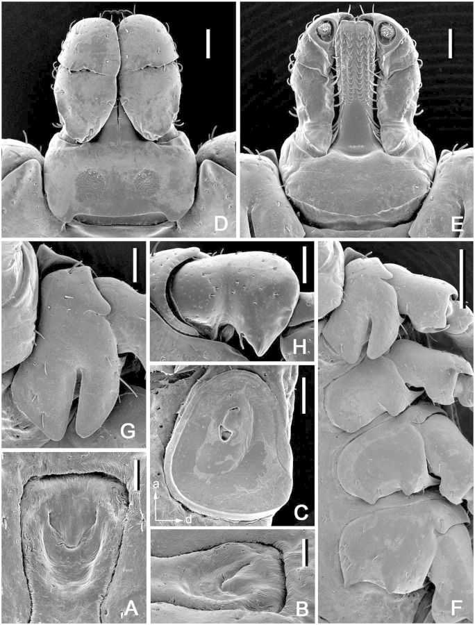 Fig. 10.