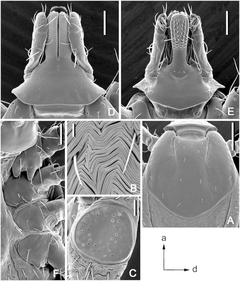 Fig. 11.